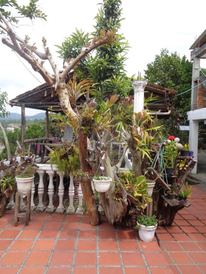 Hostal Loco Locombia Сан-Агустин Экстерьер фото